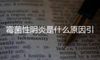 霉菌性陰炎是什么原因引起的（詳解霉菌性陰炎病因及預(yù)防）