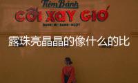 露珠亮晶晶的像什么的比喻句	露珠兒晶晶亮好像什么寫比喻句