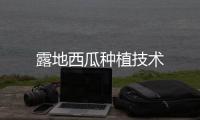 露地西瓜種植技術