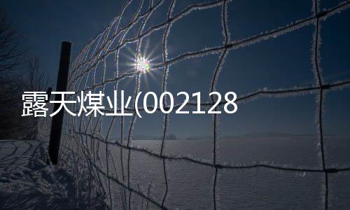 露天煤業(002128):收購扎礦 整體上市大幕開啟 "買入"