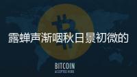 露蟬聲漸咽秋日景初微的意思 露蟬聲漸咽秋日景初微是什么意思