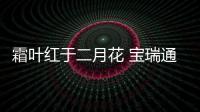霜葉紅于二月花 寶瑞通以傳承致敬傳統(tǒng)【娛樂(lè)新聞】風(fēng)尚中國(guó)網(wǎng)