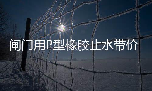 閘門用P型橡膠止水帶價格及施工方法