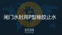 閘門水封用P型橡膠止水帶施工工藝