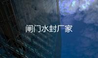 閘門水封廠家