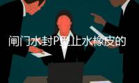 閘門(mén)水封P型止水橡皮的種類