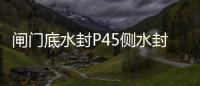 閘門底水封P45側(cè)水封的做法