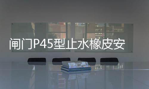 閘門P45型止水橡皮安裝固定