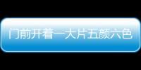 門前開著一大片五顏六色的鮮花仿句校園旁