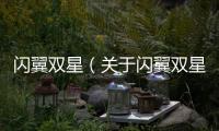 閃翼雙星（關于閃翼雙星的基本情況說明介紹）
