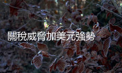 關稅威脅加美元強勢  衝擊新興市場股匯