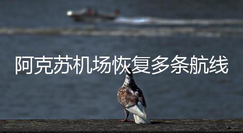 阿克蘇機場恢復多條航線助力暑運