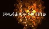 阿克蘇諾貝爾（關于阿克蘇諾貝爾的基本情況說明介紹）