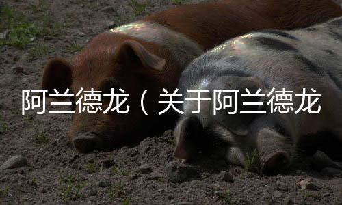 阿蘭德龍（關于阿蘭德龍的基本情況說明介紹）
