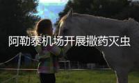 阿勒泰機場開展撒藥滅蟲作業 提升旅客出行體驗