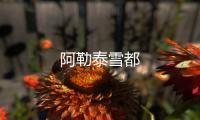 阿勒泰雪都