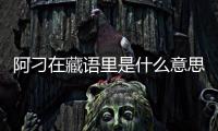 阿刁在藏語里是什么意思（藏語阿刁是什么意思）