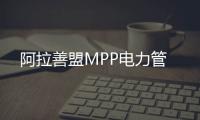阿拉善盟MPP電力管