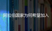 阿拉伯國家為何希望加入上合組織