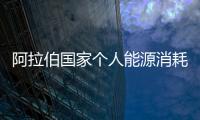 阿拉伯國家個人能源消耗世界第一