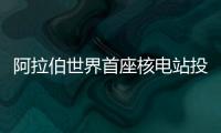 阿拉伯世界首座核電站投入運營