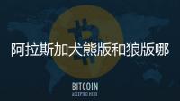 阿拉斯加犬熊版和狼版哪個好(阿拉斯加犬熊版和狼版區別)