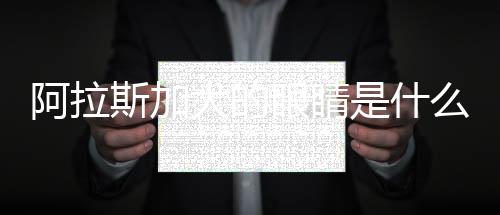 阿拉斯加犬的眼睛是什么顏色的(純種阿拉斯加犬眼睛是什么顏色)