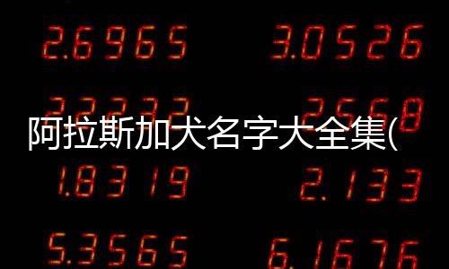 阿拉斯加犬名字大全集(阿拉斯加犬起什么名字好聽)