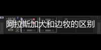 阿拉斯加犬和邊牧的區別(愛斯基摩犬和阿拉斯加犬的區別)