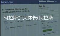 阿拉斯加犬體長(阿拉斯加犬長什么樣)