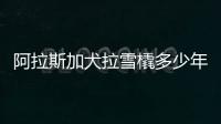 阿拉斯加犬拉雪橇多少年了，阿拉斯加犬雪橇多少錢一只