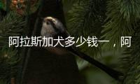 阿拉斯加犬多少錢一，阿拉斯加狗多少錢呢