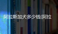 阿拉斯加犬多少錢(阿拉斯加犬要多少錢一只)