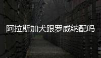 阿拉斯加犬跟羅威納配嗎？阿拉斯加犬和羅威納犬哪個(gè)好