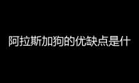 阿拉斯加狗的優(yōu)缺點是什么？阿拉斯加犬的優(yōu)點