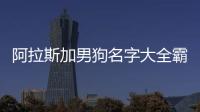 阿拉斯加男狗名字大全霸氣英文