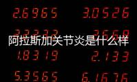 阿拉斯加關節炎是什么樣子的(阿拉斯加尷尬期是什么樣子)