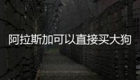 阿拉斯加可以直接買大狗嗎視頻？阿拉斯加可以窮養(yǎng)嗎