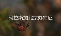 阿拉斯加北京辦狗證