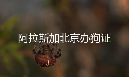 阿拉斯加北京辦狗證