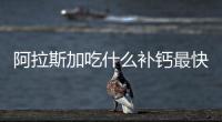 阿拉斯加吃什么補(bǔ)鈣最快最好？阿拉斯加吃什么鈣片好點(diǎn)