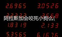 阿拉斯加會咬死小狗么(阿拉斯加生小狗)