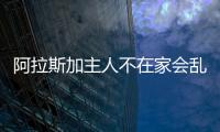 阿拉斯加主人不在家會亂叫嗎