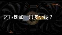 阿拉斯加一只多少錢？ 阿拉斯加價格多少一只