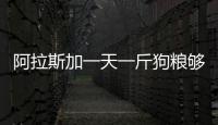 阿拉斯加一天一斤狗糧夠嗎(阿拉斯加狗糧推薦)