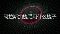 阿拉斯加梳毛用什么梳子合適(給阿拉斯加梳毛用什么類型梳子?)
