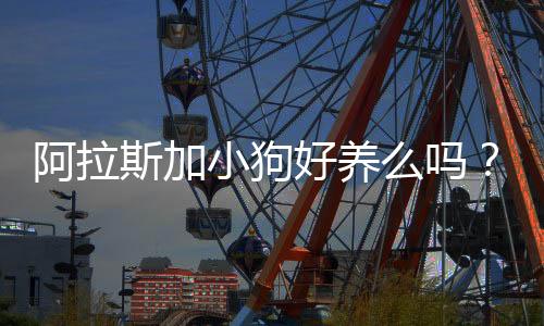 阿拉斯加小狗好養么嗎？阿拉斯加犬好養活嗎?