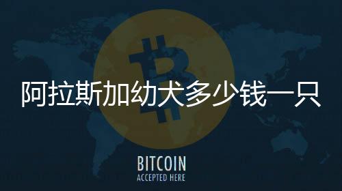 阿拉斯加幼犬多少錢一只(阿拉斯加幼犬怎么喂養(yǎng)方法)