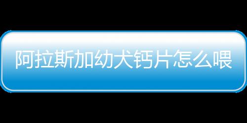 阿拉斯加幼犬鈣片怎么喂(阿拉斯加幼犬吃什么鈣片比較好?)