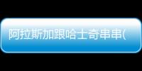 阿拉斯加跟哈士奇串串(阿拉斯加哈士奇串出售)